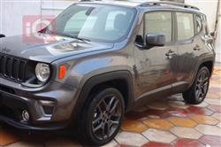 جيب رينيجيد